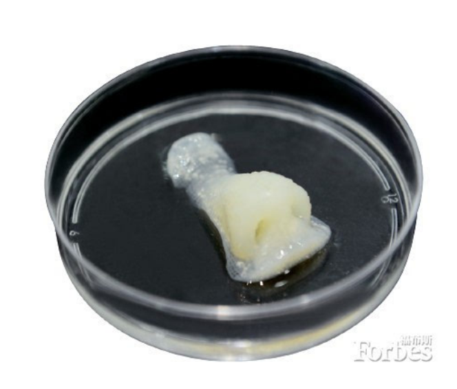 国产福利一区二区三区在线视频