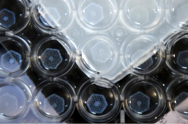 国产福利一区二区三区在线视频