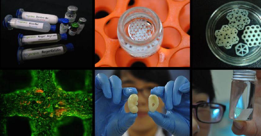 国产福利一区二区三区在线视频