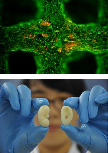 国产福利一区二区三区在线视频