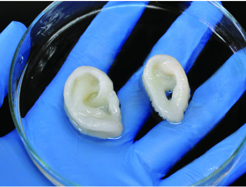 国产福利一区二区三区在线视频