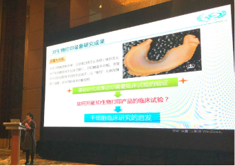 国产福利一区二区三区在线视频