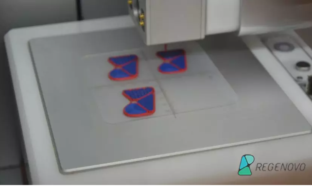 国产福利一区二区三区在线视频