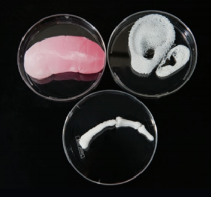 国产福利一区二区三区在线视频