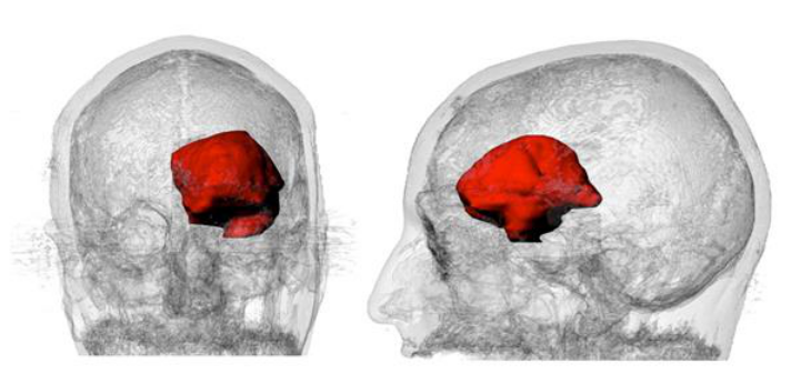 国产福利一区二区三区在线视频