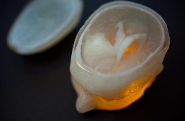 国产福利一区二区三区在线视频