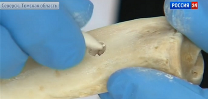 国产福利一区二区三区在线视频