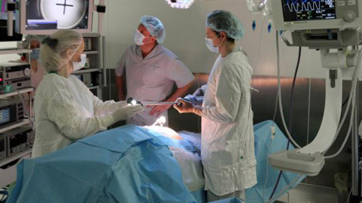 国产福利一区二区三区在线视频