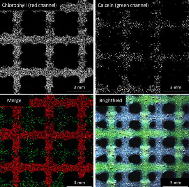 国产福利一区二区三区在线视频