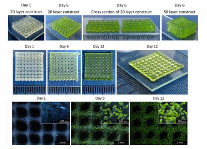 国产福利一区二区三区在线视频