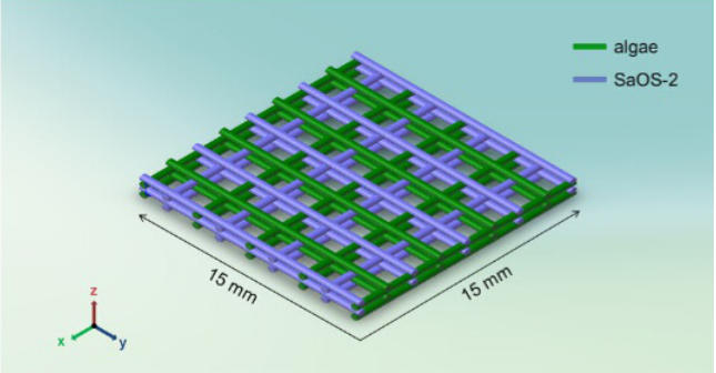国产福利一区二区三区在线视频