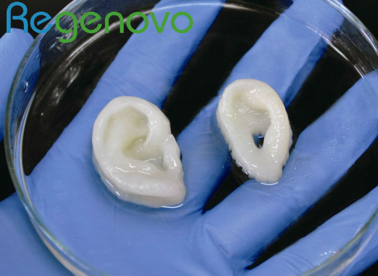 国产福利一区二区三区在线视频