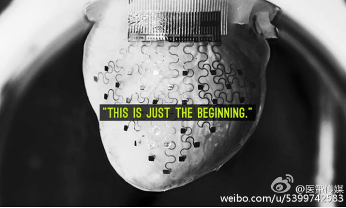 国产福利一区二区三区在线视频