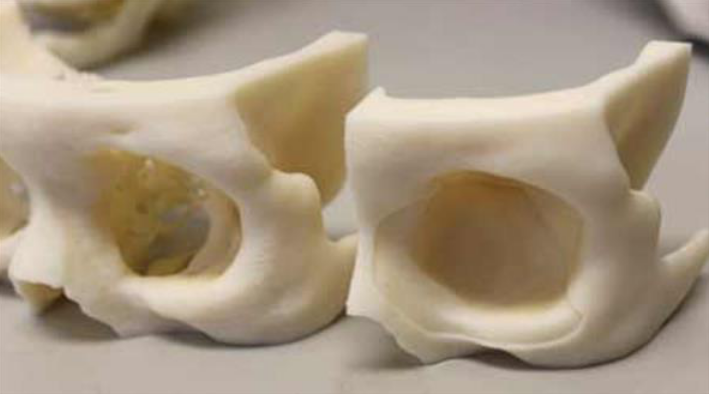 国产福利一区二区三区在线视频