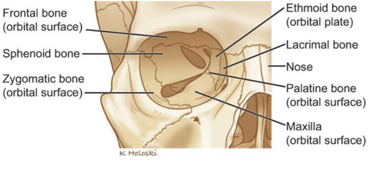 国产福利一区二区三区在线视频