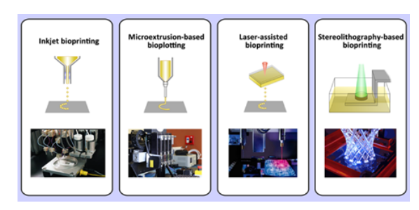 国产福利一区二区三区在线视频