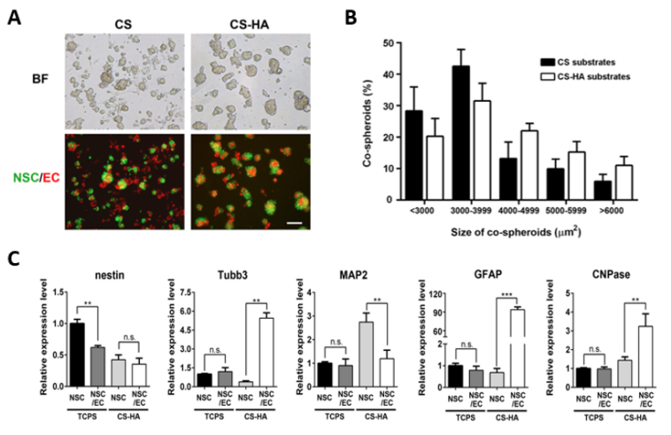 国产福利一区二区三区在线视频