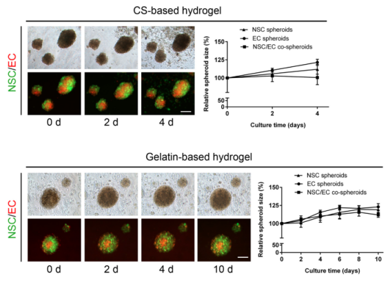 国产福利一区二区三区在线视频