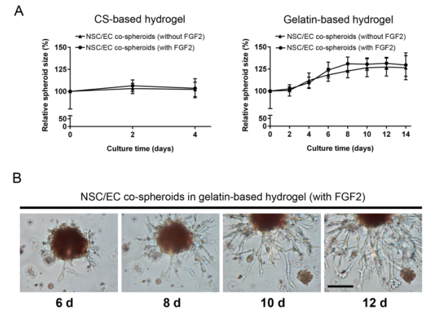 国产福利一区二区三区在线视频