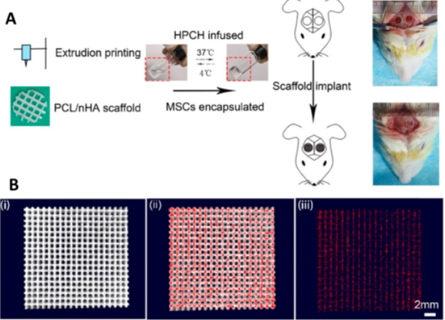 国产福利一区二区三区在线视频