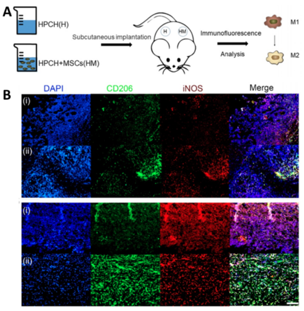 国产福利一区二区三区在线视频