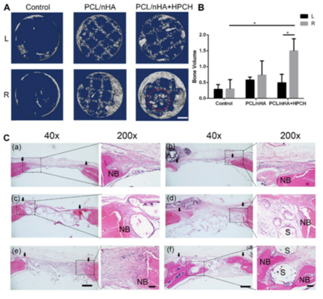 国产福利一区二区三区在线视频