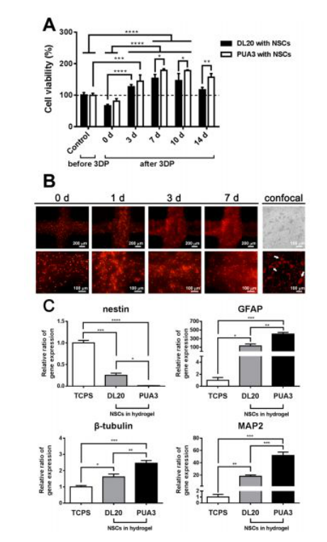 国产福利一区二区三区在线视频