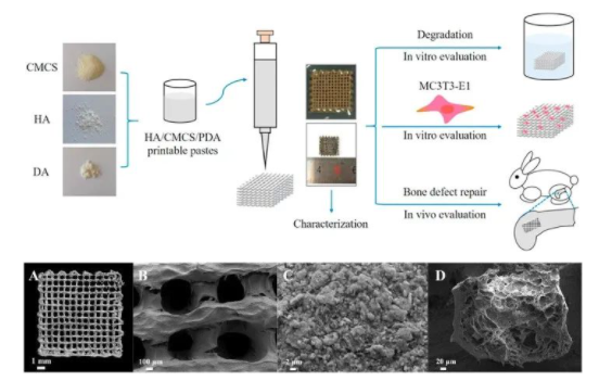 国产福利一区二区三区在线视频