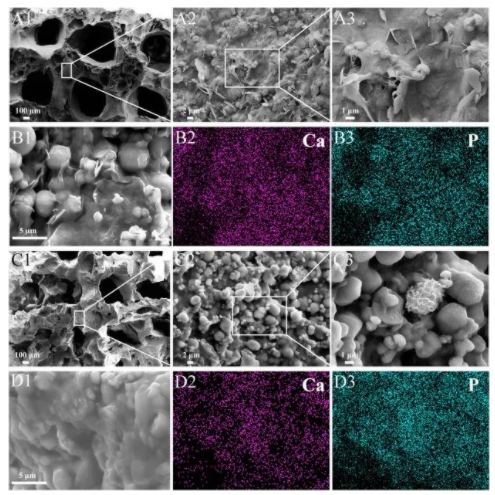 国产福利一区二区三区在线视频