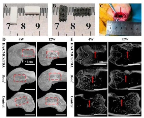 国产福利一区二区三区在线视频