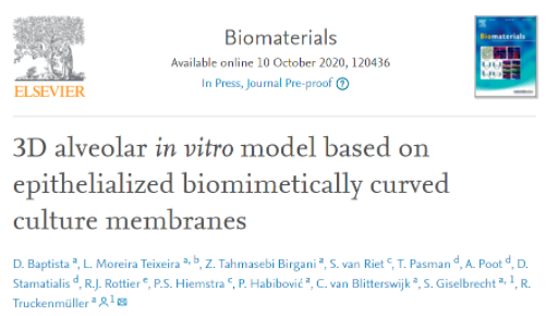 国产福利一区二区三区在线视频