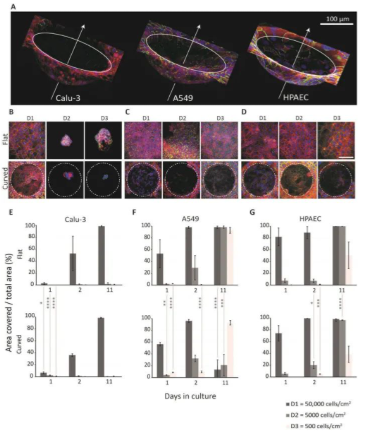国产福利一区二区三区在线视频