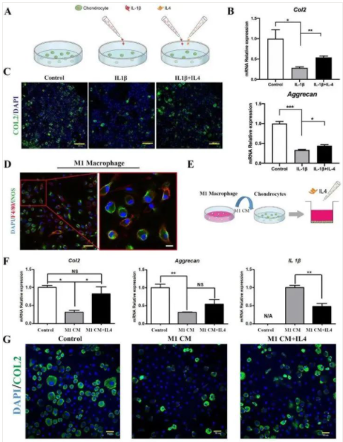 国产福利一区二区三区在线视频