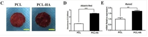 国产福利一区二区三区在线视频