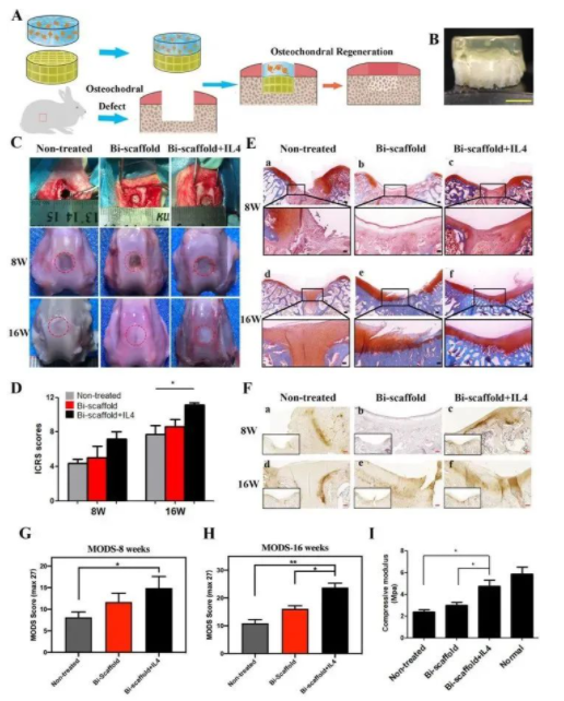 国产福利一区二区三区在线视频