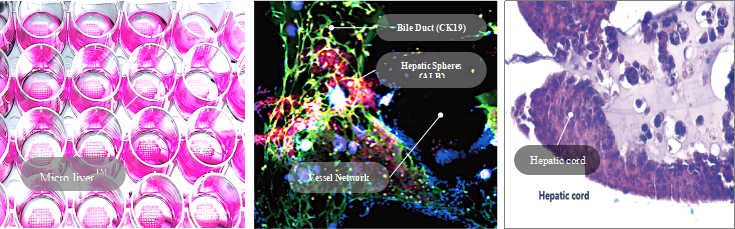 国产福利一区二区三区在线视频