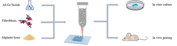 国产福利一区二区三区在线视频
