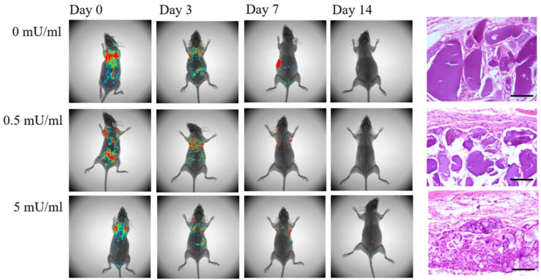 国产福利一区二区三区在线视频