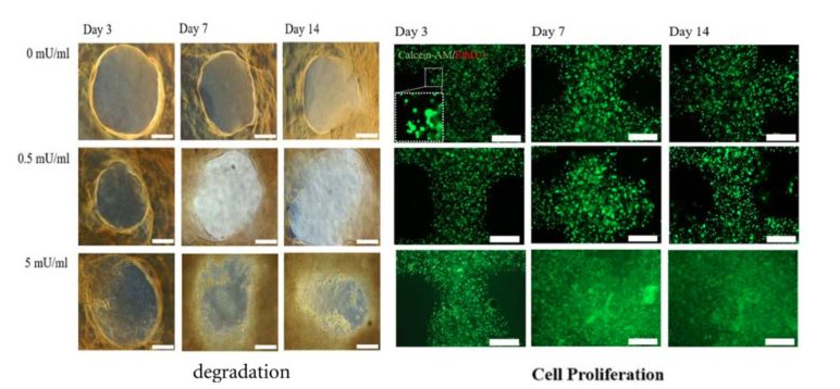 国产福利一区二区三区在线视频