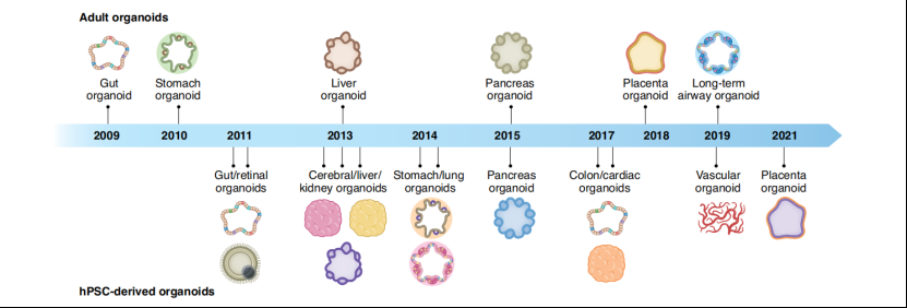 国产福利一区二区三区在线视频