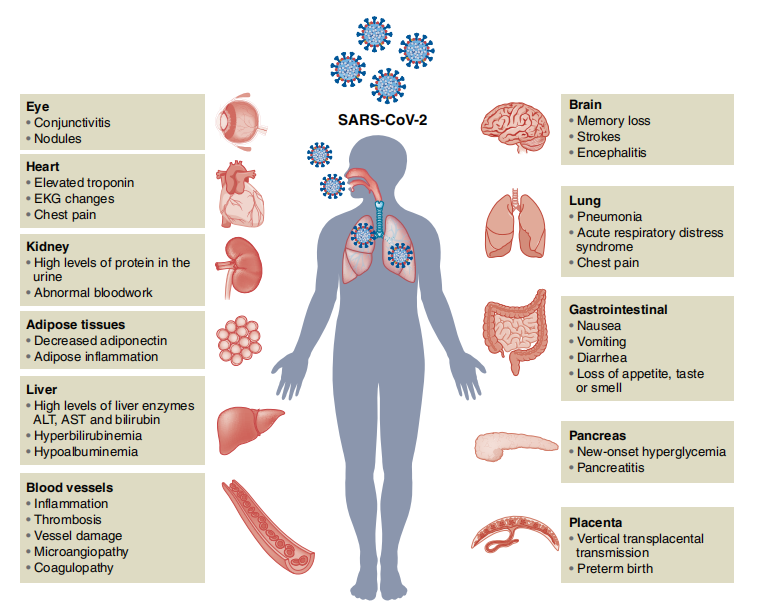 国产福利一区二区三区在线视频
