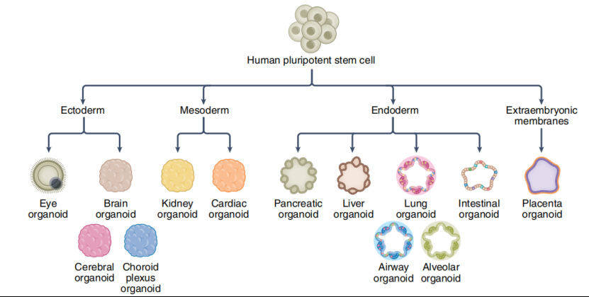 国产福利一区二区三区在线视频