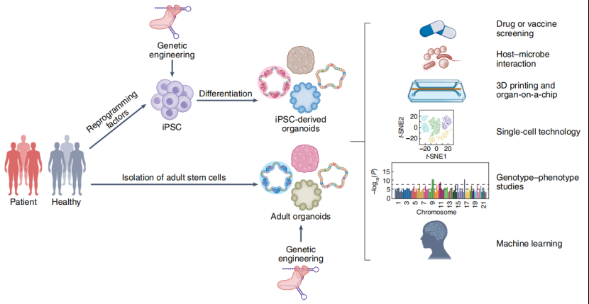 国产福利一区二区三区在线视频