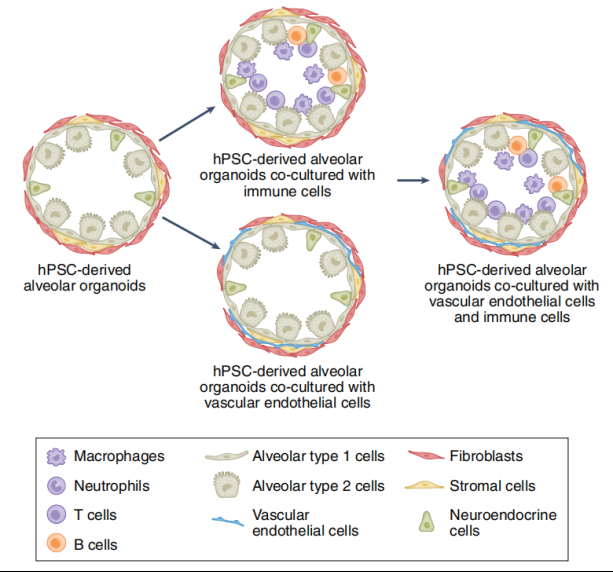 国产福利一区二区三区在线视频
