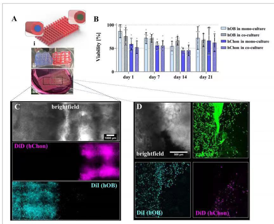 国产福利一区二区三区在线视频