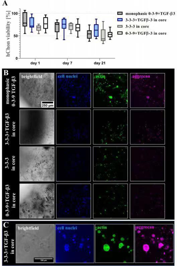 国产福利一区二区三区在线视频