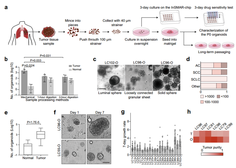 国产福利一区二区三区在线视频