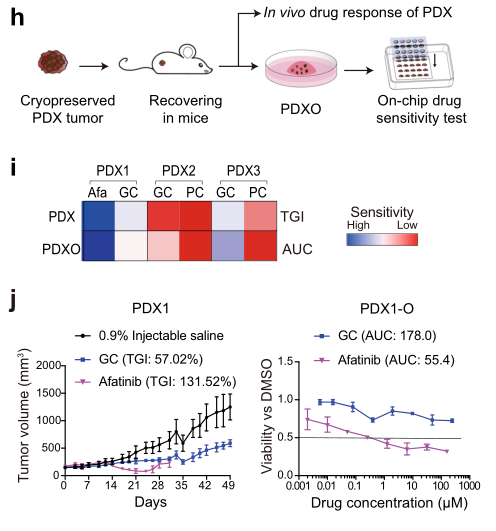 国产福利一区二区三区在线视频