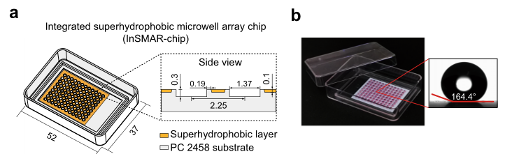国产福利一区二区三区在线视频