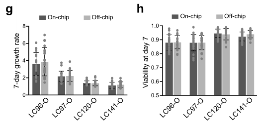国产福利一区二区三区在线视频